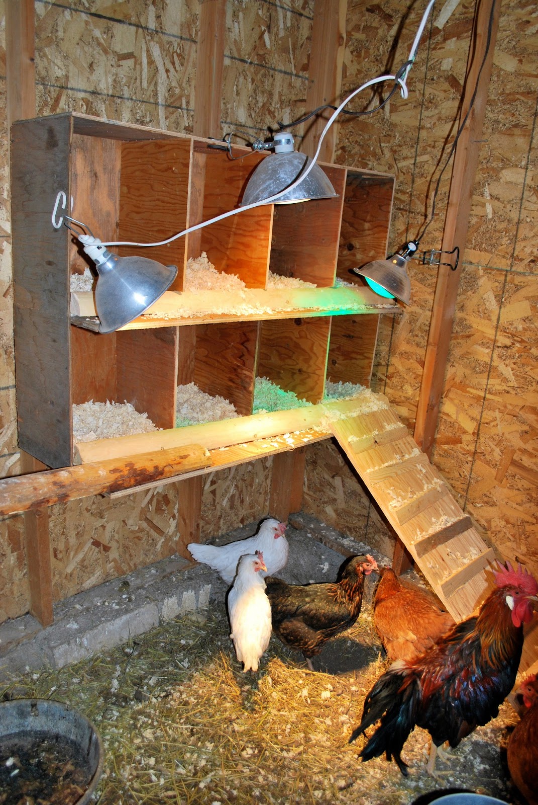 Chicken Nesting Boxes