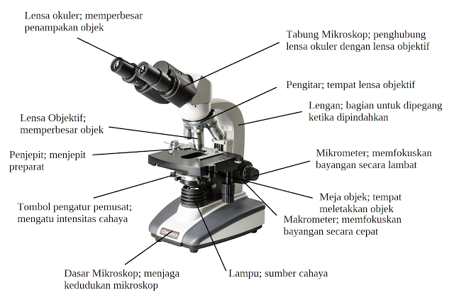 learninghaa.blogg.se