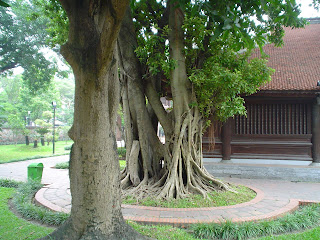 Garden at the Temple of the literature, Hanoi, Vietnam