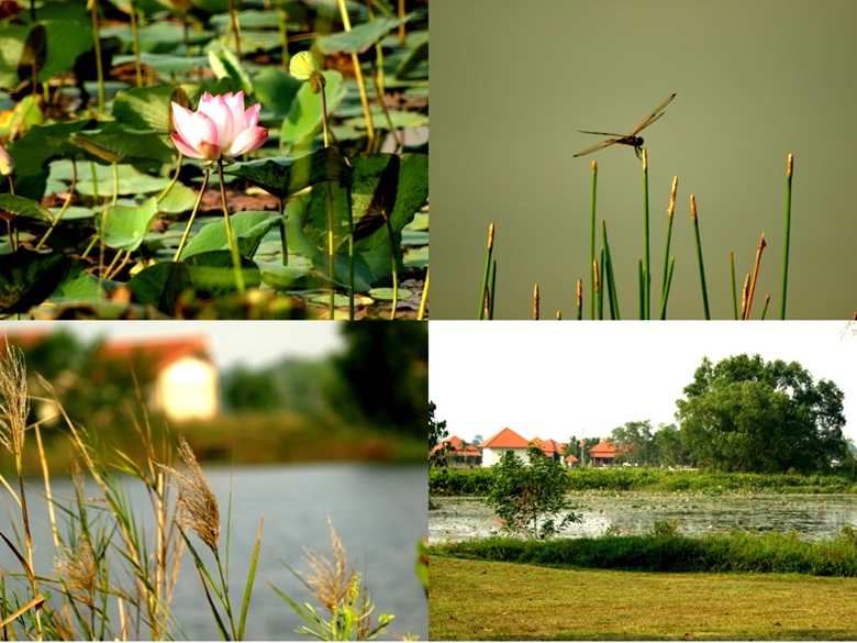 tasik3