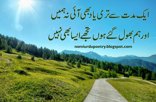 2 line poetry,Best Heart Touching Urdu Poetry In 2020 || Nomi Urdu Poetry,Love Poetry,nomi urdu poetry,NomiUrduPoetry,Poetry,quote,sad poetry,Sad poetry in urdu,urdu poetry