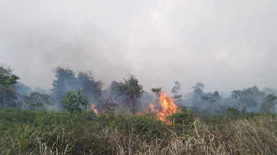Ratusan Hektar Lahan Masyarakat Terbakar 'Masyarakat Merugi'