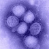 Reportan dos casos de influenza A H1N1 en Yucatán