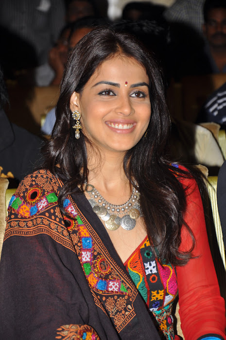 genelia at naa ishtam audio success meet actress pics