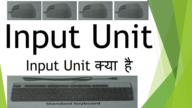 What is input unit input unit function