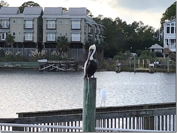 Carrabelle 18Nov24 (38)