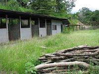 old prefab horse stables