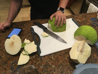 ingredients for grilled Breadfruit
