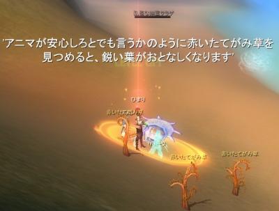 乱暴な幽霊クラゲ