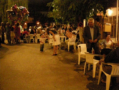 Αμυγδαλιά  18-8-09 007