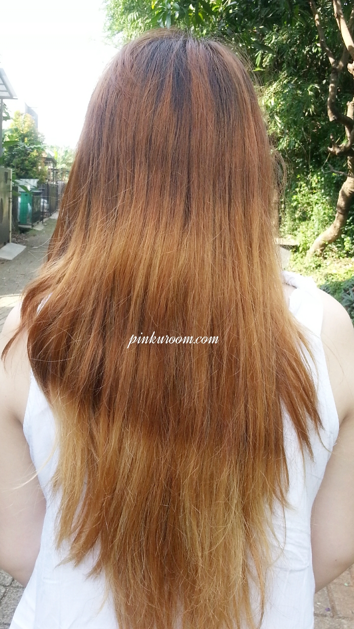  Warna  Rambut  Golden  Brown Hairstylejos