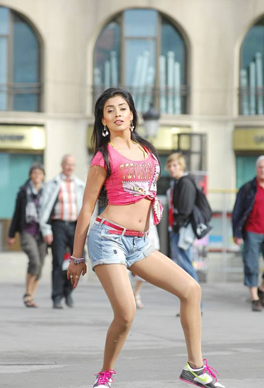 Shriya Saran  Posing Mood hot images