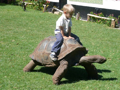 People Riding Inappropriate Animal Seen On  www.coolpicturegallery.us