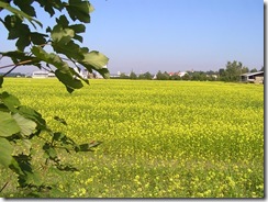 pozdní snuška 17,9,2011 026
