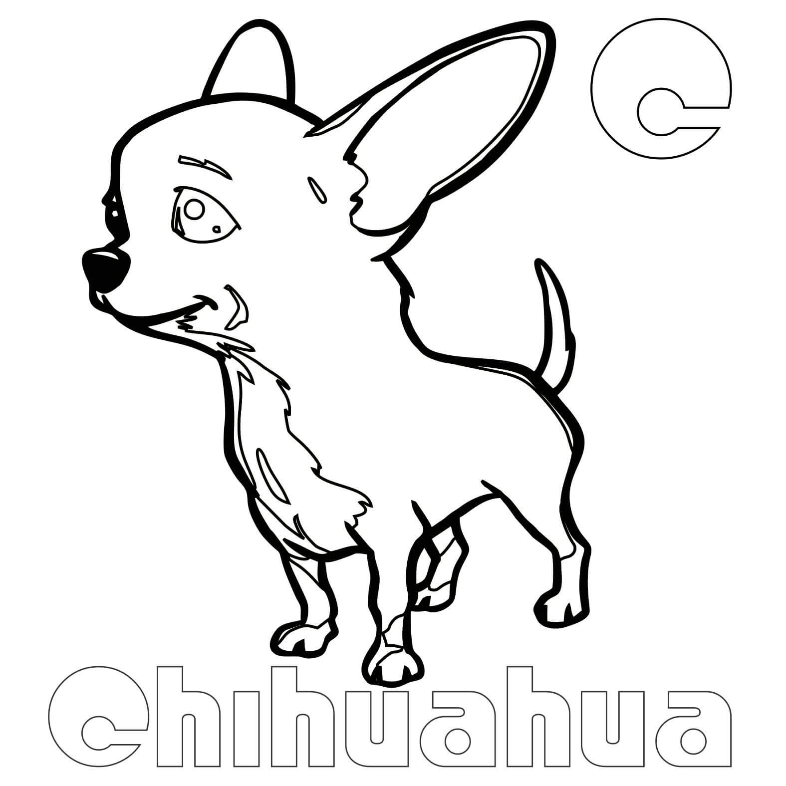 Chihuahua Coloring Pages Best