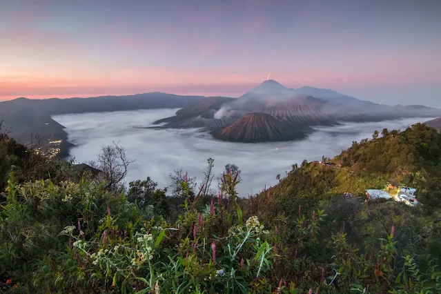 Bromo