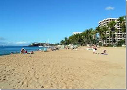 the beach