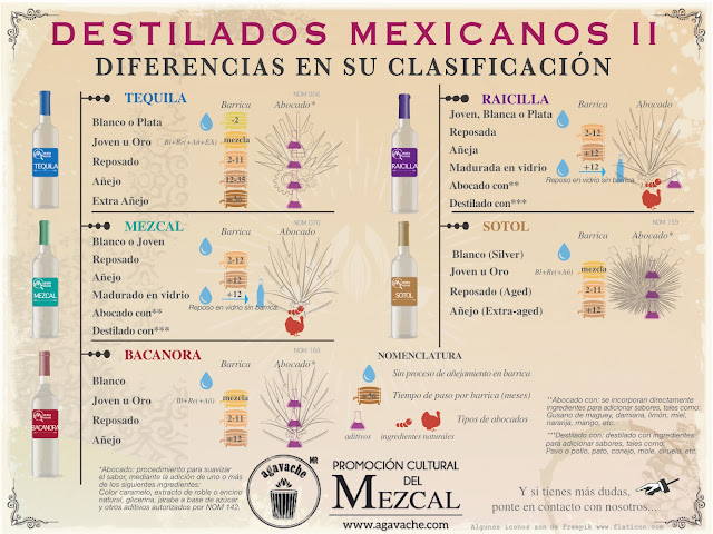 Tequila, Mezcal, Raicilla, Bacanora y sotol