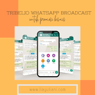 Tribelio Whatapps Broadcast