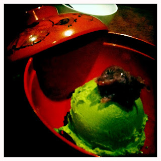 Green Tea Ice-cream in Kyoto