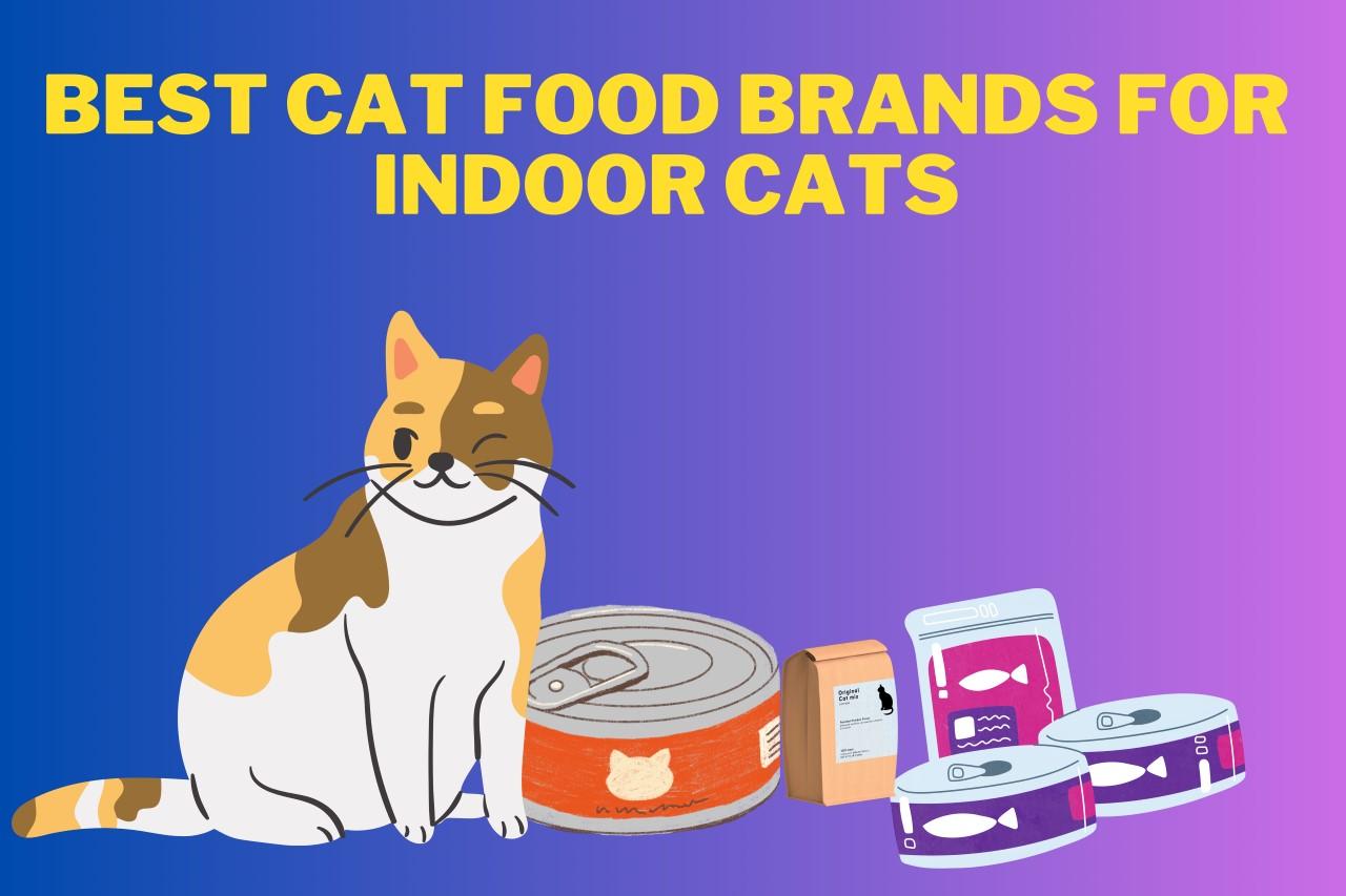 The Ultimate List of Best Cat Food Brands for Indoor Cats: Expert Recommendations