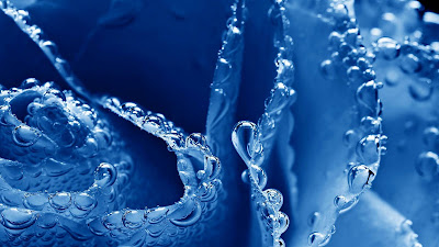 Water Bubbles hd wallpaper