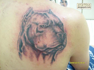Pit Bull tatuado na parte de cima das costas