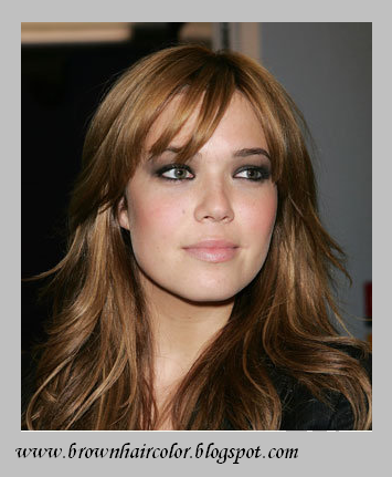 brown hair with caramel highlights. light rown hair color with