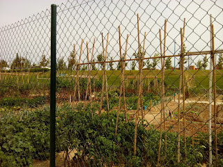 Huertos urbanos Parque del Agua Zaragoza