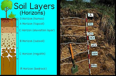 Profil Tanah (Soil Horizon)