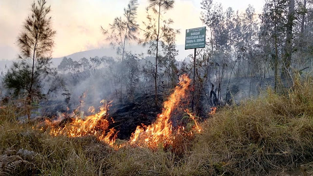 MUSIM KEMARAU MENDAKI GUNUNG | Kenali Ancaman Ini