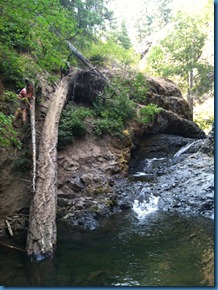 Naches16 - 29 Aug 2011