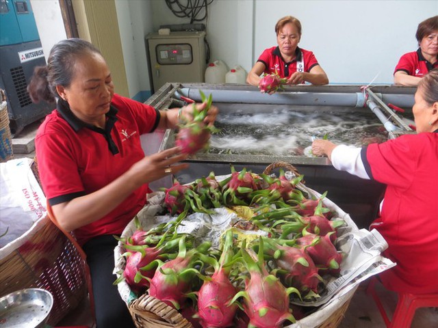 Xuất khẩu nông sản sang Trung Quốc: <a href=