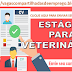 Vaga para Estágio para Veterinários