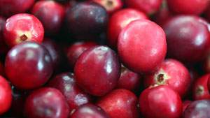 Buah cranberry efektif mengatasi sering kencing