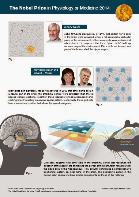 http://www.nobelprize.org/nobel_prizes/medicine/laureates/2014/med_image_press_eng.pdf