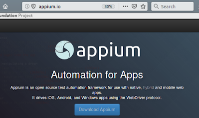 Appium Desktop Page