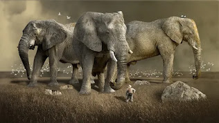 The-Most-Heaviest-Land-Mammal-Elephant