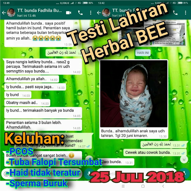 Herbal Bee Untuk PCOS, Herbal Bee Untuk Tuba Falopi tersumat, Herbal Bee Untuk Kista, Herbal Bee Untuk Haid Tidak teratur