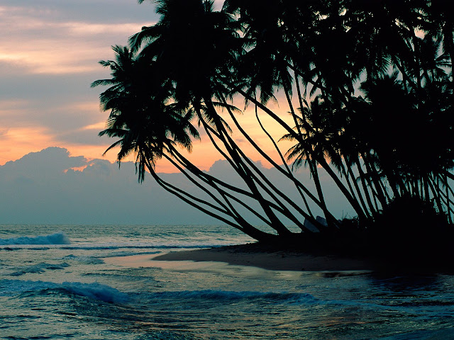 Colombo Bay, Sri Lanka