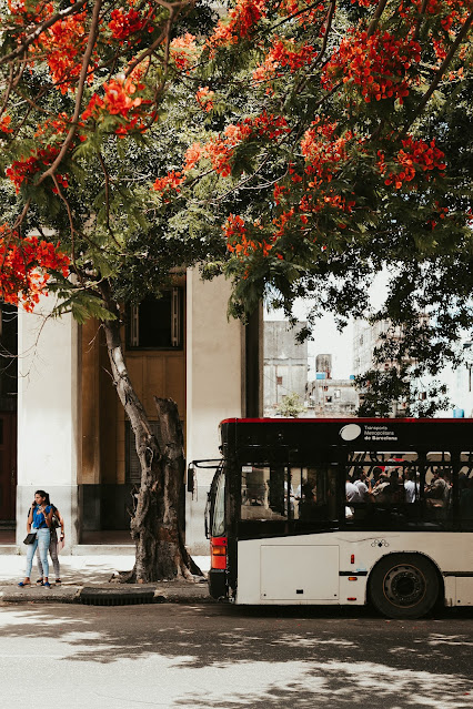 Vida escolar!