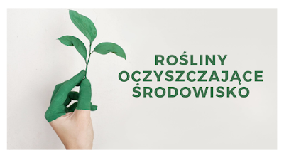 Rośliny oczyszczające środowisko