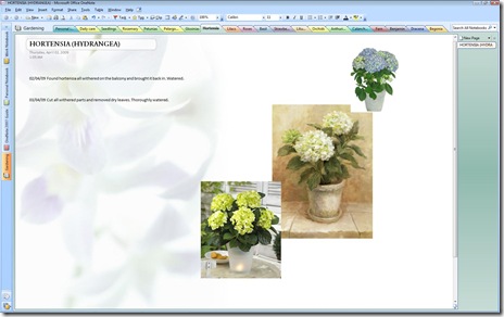 OneNote
