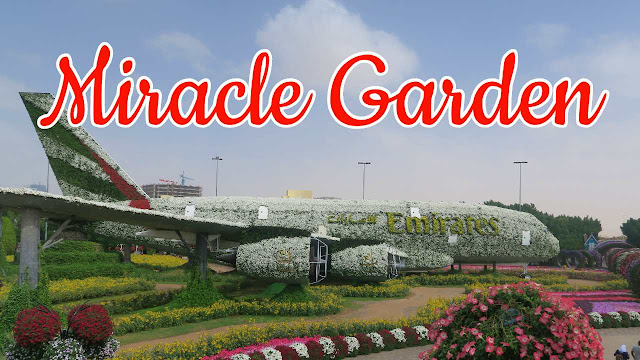 Dubai Miracle Garden