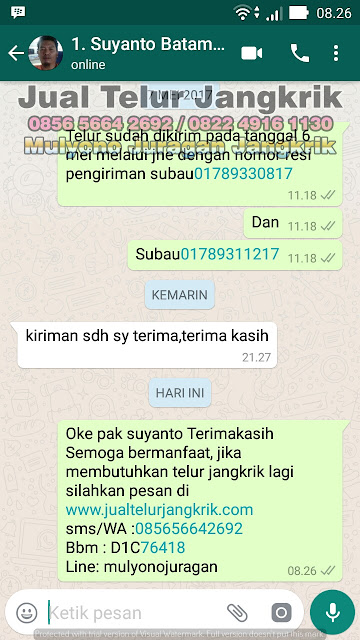 budidaya jangkrik, cara beternak jangkrik, cara budidaya jangkrik, cara ternak jangkrik, jual telur jangkrik, ternak jangkrik