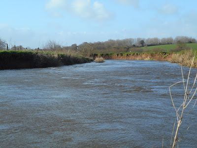 River Culm, Devon, February. Photograph copyright © Belinda Whitworth 2020