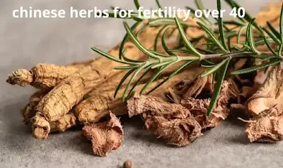 chinese herbs for fertility over 40