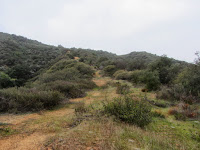 Climbing west on the old firebreak from Silver Fish Fire Road en route to Summit 2843