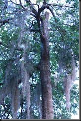 Myrtle Beach 2010 188