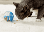 FREE Cat Toy From Hartz Insider